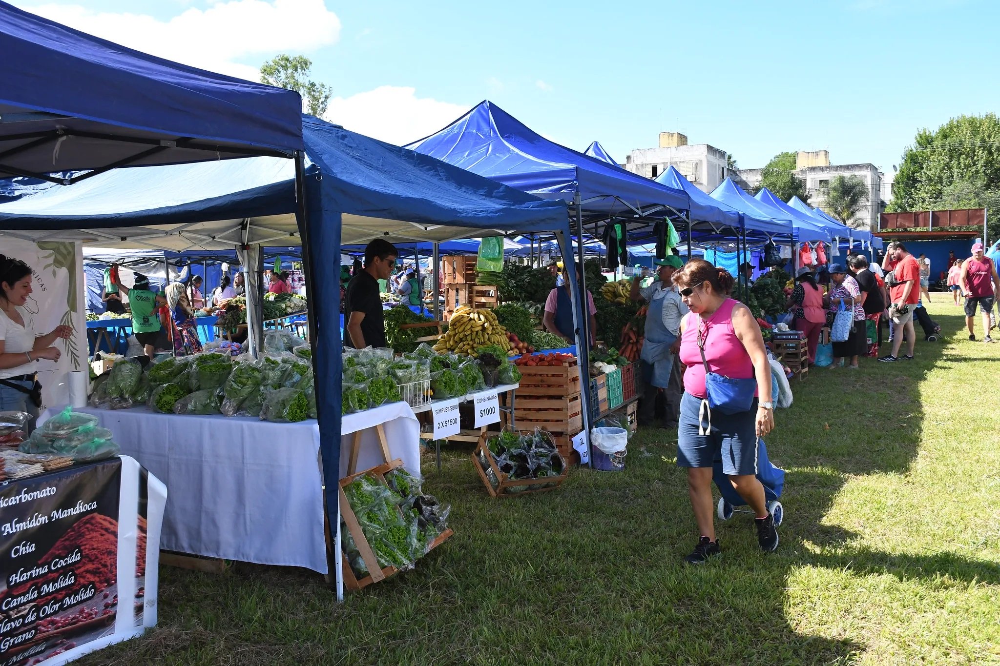 “El Mercado en tu Barrio” llega a Roberto Romero con productos a precios accesibles