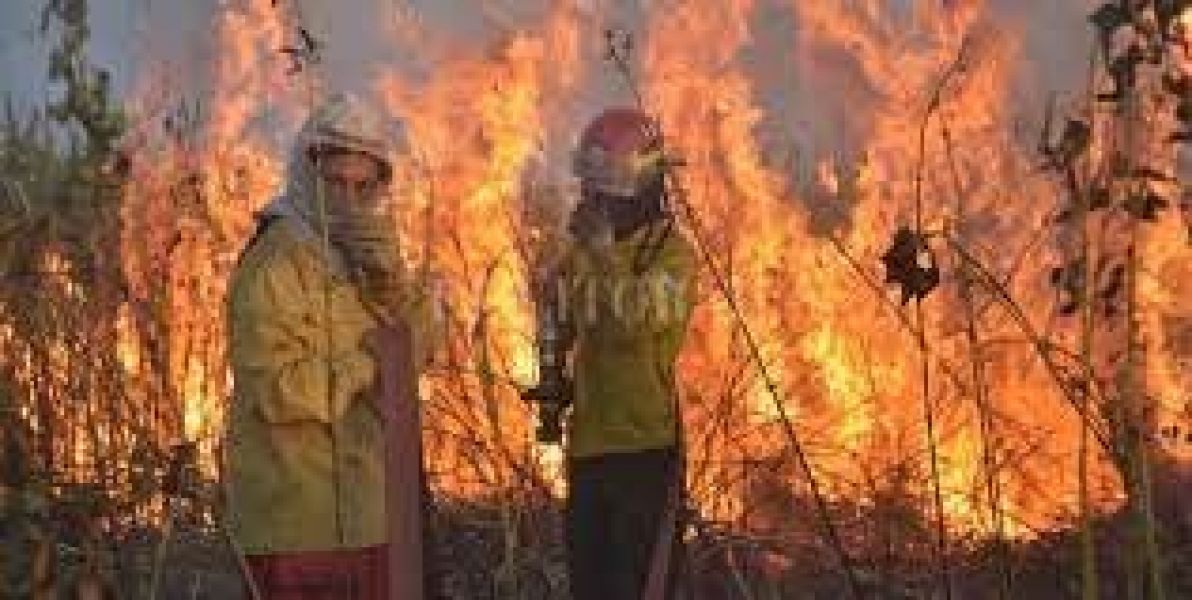 Se reactivan los incendios en el Delta del Paraná y el humo llegó a ...