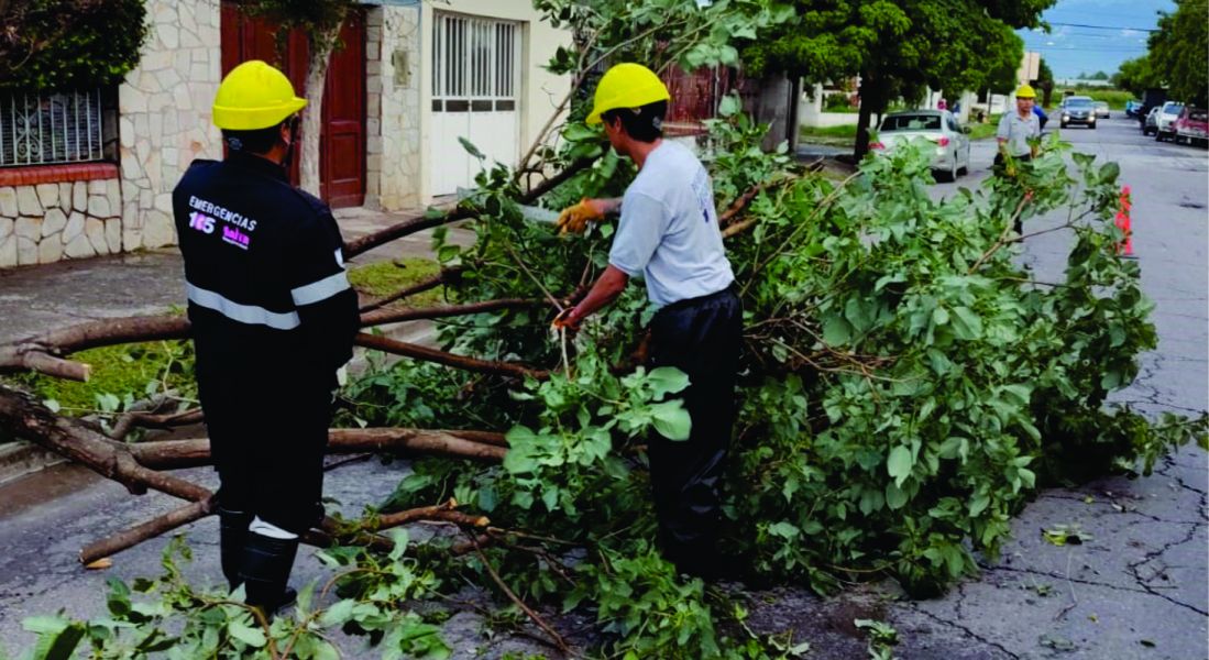75894-voladuras-de-chapas-caida-de-arboles-y-postes-el-saldo-tras-la-tormenta-electrica