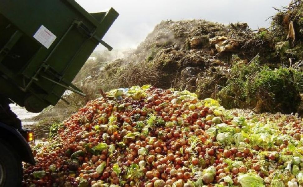 Cerca De 1 000 Millones De Toneladas De Comida Se Desperdician Cada Año