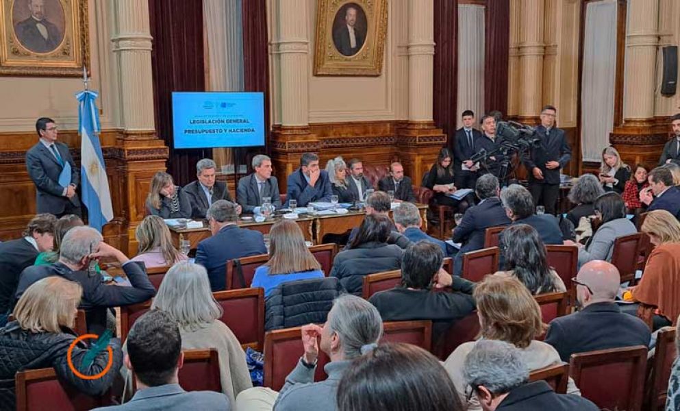 La Ley de alquileres no obtuvo dictamen en el senado - Nuevo Diario de ...