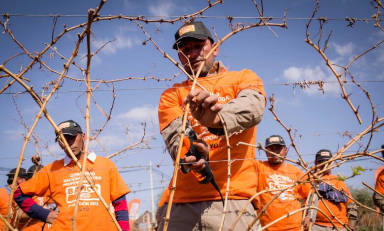 Cafayate llega la 7ma edición del concurso de Poda en Vid