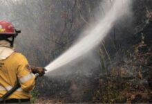 El Gobierno insta a extremar las medidas de precaución por incendios