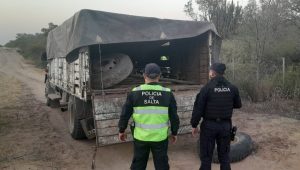 La Policía recuperó rieles de ferrocarril