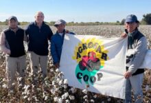 El Gobierno entregó insumos a productores algodoneros