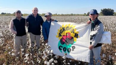 El Gobierno entregó insumos a productores algodoneros