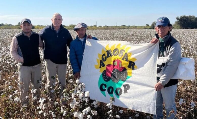 El Gobierno entregó insumos a productores algodoneros