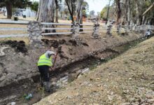 La municipalidad trabaja en la limpieza del canal Tineo