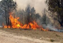 Incendio forestal