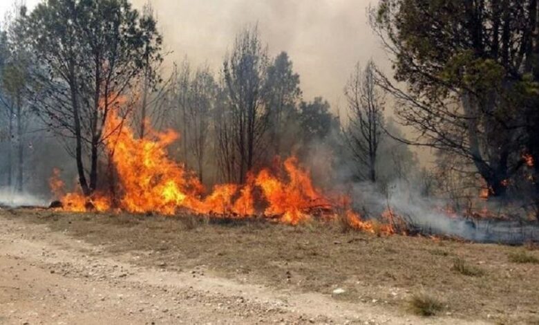 Incendio forestal