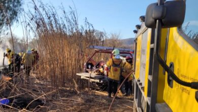 Sofocaron un incendio de pastizales en zona sudeste