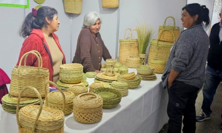 Cuarenta emprendedores originarios participarán en la feria Potencia Orán