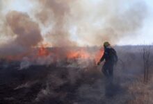 incendios