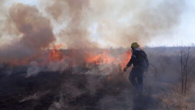 incendios