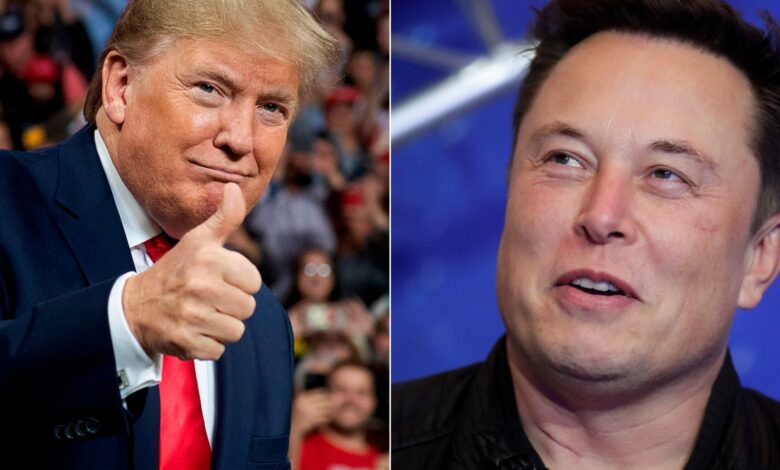 Trump propone a Elon Musk liderar una auditoría del gobierno