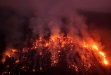 Incendio en el Amazonas