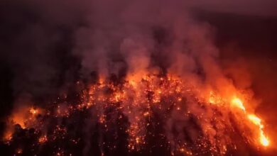 Incendio en el Amazonas