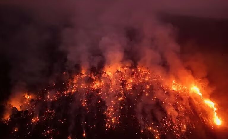 Incendio en el Amazonas