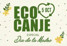 Ecocanje