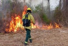 Trabajaron en focos de incendio sobre la ruta provincial 18