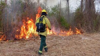 Trabajaron en focos de incendio sobre la ruta provincial 18