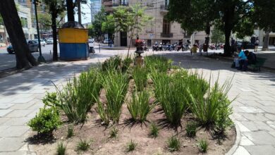 Finalizó la 1º etapa del mantenimiento de espacio verde en la Plaza Belgrano