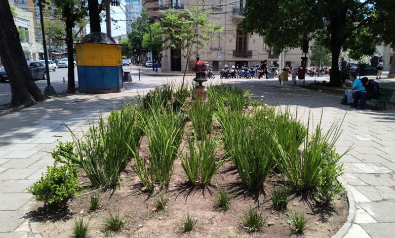 Finalizó la 1º etapa del mantenimiento de espacio verde en la Plaza Belgrano