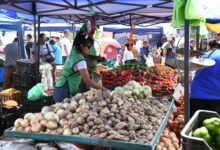 Se llevó a cabo la 11° edición de “El mercado en tu barrio”con 15 mil personas