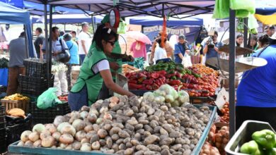 Se llevó a cabo la 11° edición de “El mercado en tu barrio”con 15 mil personas