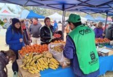 Mercado en Tu Barrio