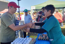 Mercado en Tu Barrio