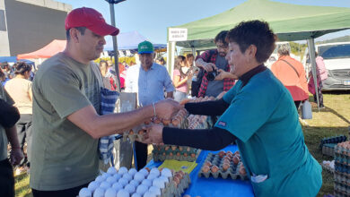 Mercado en Tu Barrio