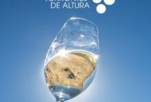 Comienza la Semana del Torrontés de Altura 2024