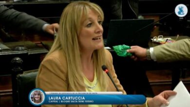 Diputada Laura Cartuccia.