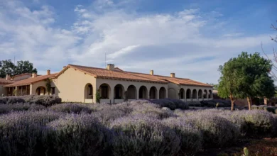 Reconocieron a Bodega salteña entre las 50 mejores del mundo