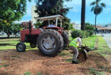 Iniciaron las tareas de parquización en la plaza Güemes