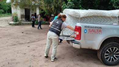 Las tareas de asistencia
