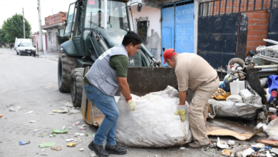 Tareas de descacharrado.