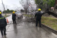 El Sistema de Emergencias 105 intervino en 16 incidentes por la tormenta