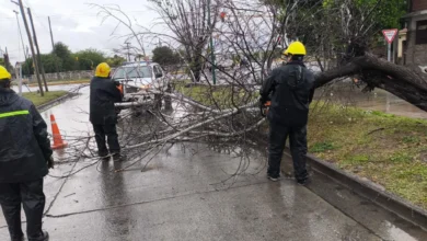 El Sistema de Emergencias 105 intervino en 16 incidentes por la tormenta