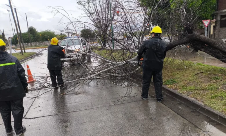 El Sistema de Emergencias 105 intervino en 16 incidentes por la tormenta