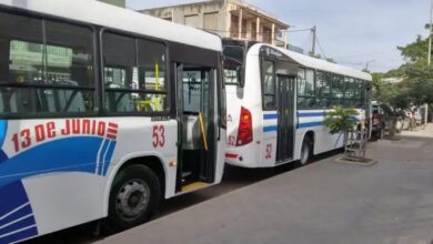 Colectivos de 13 de Junio