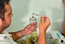 El programa provincial de Zoonosis envió 50 alacranes vivos al Instituto Malbrán