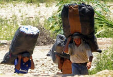 Bagayeros del Norte Argentino.