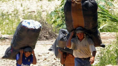 Bagayeros del Norte Argentino.