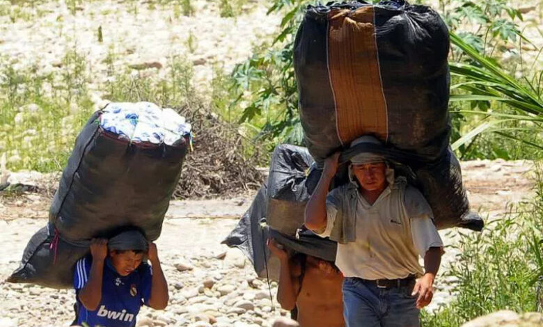 Bagayeros del Norte Argentino.