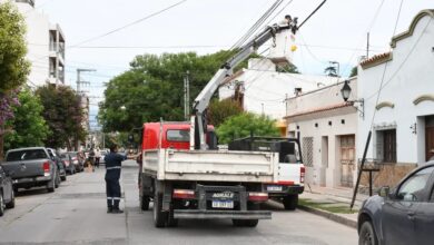 Las tareas realizadas.
