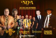 El 20 de diciembre se realizará el NOA Fest 2024