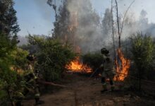 Fotografía un incendio forestal este martes en Quilpué, Chile. EFE/ Adriana Thomasa