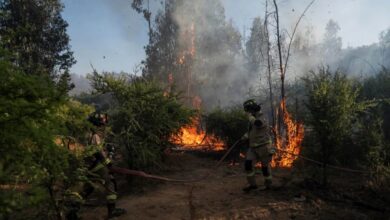 Fotografía un incendio forestal este martes en Quilpué, Chile. EFE/ Adriana Thomasa